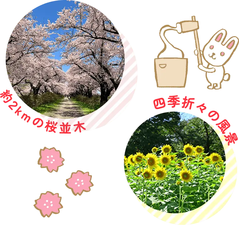 北上展勝地